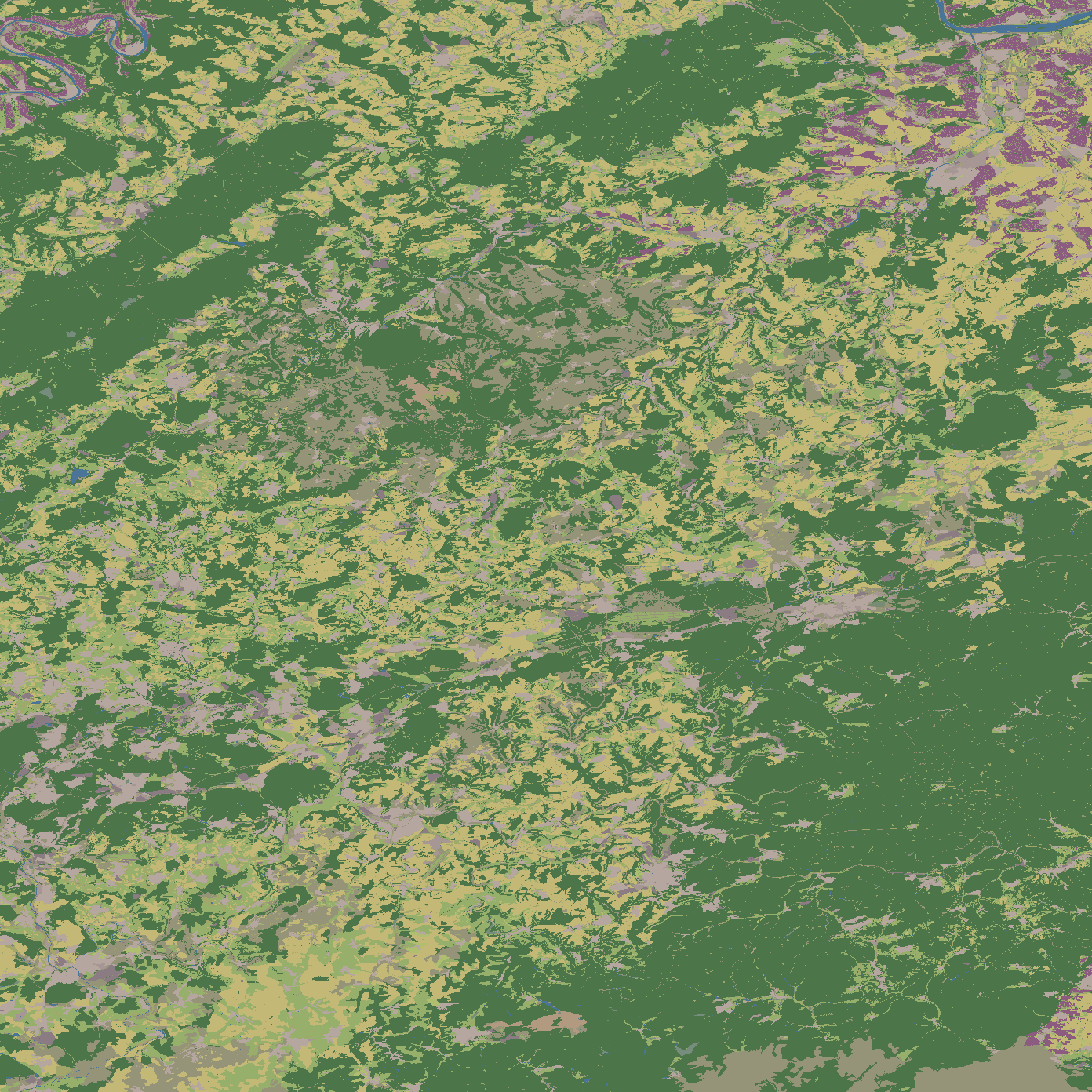Land cover map of the Pfalz square: forest over most of it, yellow
       farmland, purple vineyard strips in the north-east river valleys, and a
       large unclassified area in the south-west.